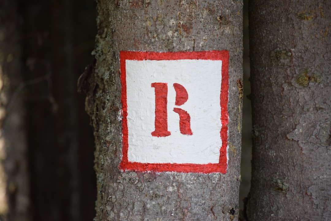 Wat maakt een relatie sterk? Alles wat je wil weten over liefde en verbinding