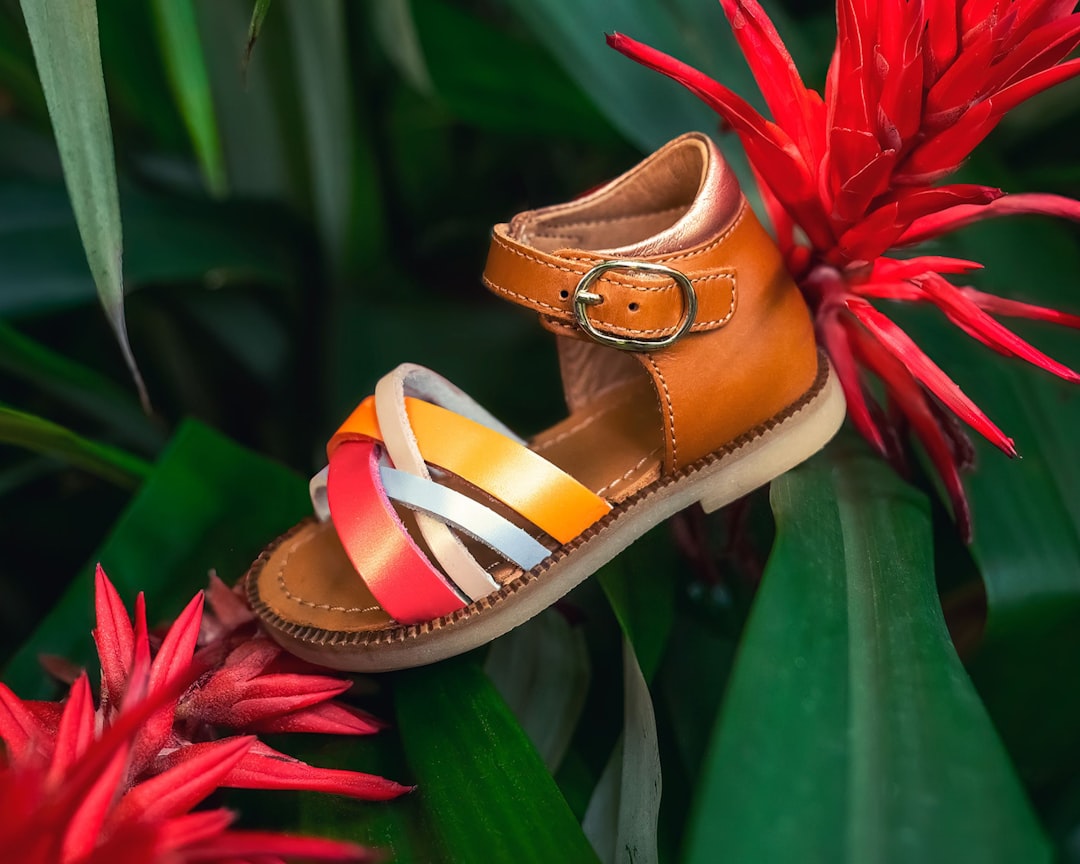 Schoenen kopen: wat je moet weten voor een goede keuze
